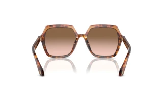 Achteraanzicht Giorgio Armani AR8193U (603351)