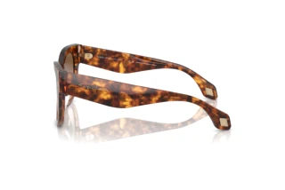 Zijaanzicht Giorgio Armani AR8195U (603351)