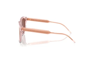 Zijaanzicht Giorgio Armani AR8210U (6073C5)