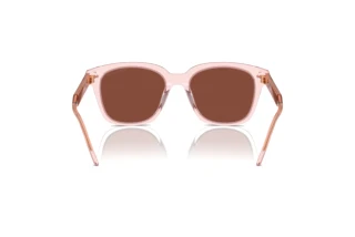 Achteraanzicht Giorgio Armani AR8210U (6073C5)
