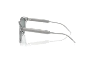 Zijaanzicht Giorgio Armani AR8210U (608056)
