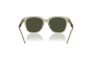 Achteraanzicht Giorgio Armani AR8210U (608331)