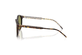 Zijaanzicht Giorgio Armani AR8211 (587914)