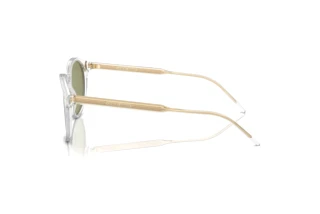 Zijaanzicht Giorgio Armani AR8211 (607514)