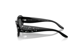 Zijaanzicht Giorgio Armani AR8213BU (5001B1)