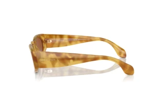 Zijaanzicht Giorgio Armani AR8216 (597973)