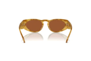 Achteraanzicht Giorgio Armani AR8216 (597973)