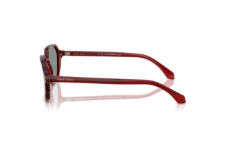 Zijaanzicht Giorgio Armani AR8220 (617056)