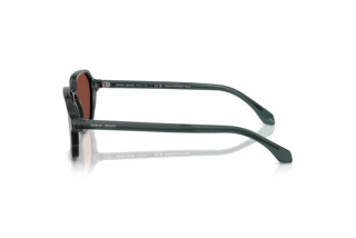 Zijaanzicht Giorgio Armani AR8220 (6171C5)