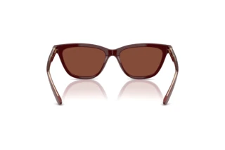 Achteraanzicht Giorgio Armani AR8221 (5955C5)
