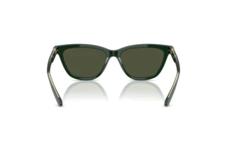 Achteraanzicht Giorgio Armani AR8221 (617331)
