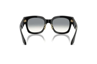 Achteraanzicht Giorgio Armani AR8223 (500111)