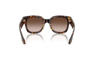 Achteraanzicht Giorgio Armani AR8223 (502613)