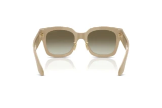 Achteraanzicht Giorgio Armani AR8223 (61618E)