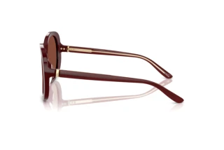 Zijaanzicht Giorgio Armani AR8229U (5955C5)