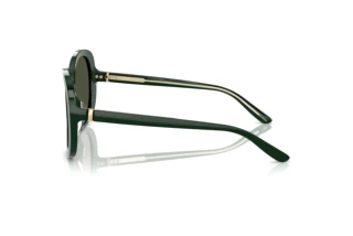 Zijaanzicht Giorgio Armani AR8229U (617331)