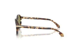 Zijaanzicht Giorgio Armani AR8237 (623214)