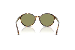 Achteraanzicht Giorgio Armani AR8237 (623214)