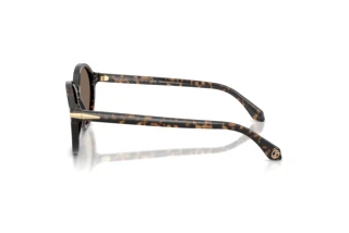 Zijaanzicht Giorgio Armani AR8237 (623573)