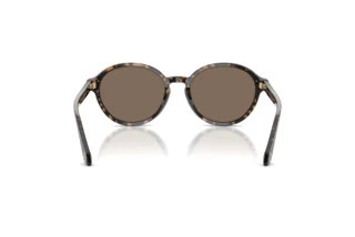 Achteraanzicht Giorgio Armani AR8237 (623573)