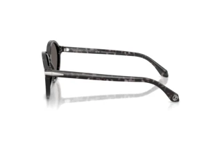 Zijaanzicht Giorgio Armani AR8237 (6236B1)