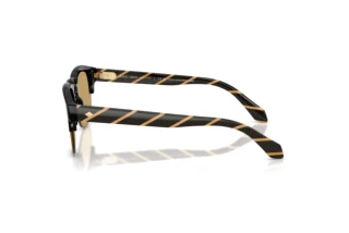 Zijaanzicht Giorgio Armani AR8238 (587573)