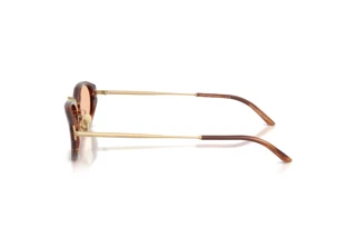 Zijaanzicht Giorgio Armani AR8242 (616273)