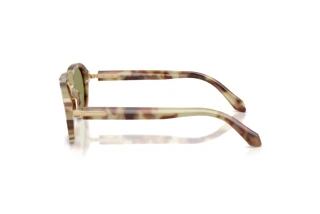 Zijaanzicht Giorgio Armani AR8244 (629914)