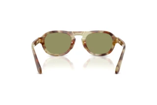 Achteraanzicht Giorgio Armani AR8244 (629914)