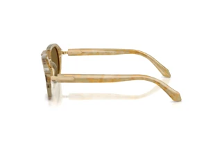 Zijaanzicht Giorgio Armani AR8244 (630073)