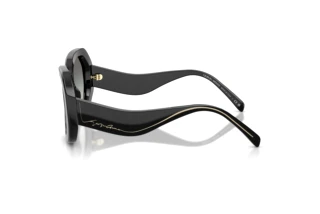 Zijaanzicht Giorgio Armani AR8248 (500111)