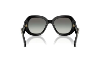 Achteraanzicht Giorgio Armani AR8248 (500111)