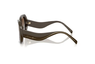 Zijaanzicht Giorgio Armani AR8248 (634089)