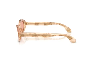 Zijaanzicht Giorgio Armani AR8249 (63914B)