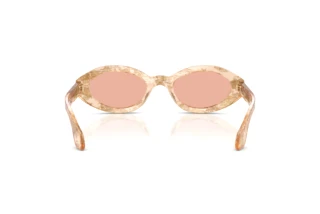 Achteraanzicht Giorgio Armani AR8249 (63914B)