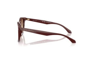 Zijaanzicht Giorgio Armani AR8252U (639913)