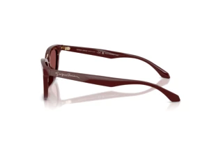 Zijaanzicht Giorgio Armani AR8253U (639775)