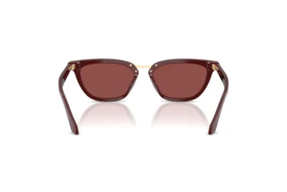 Achteraanzicht Giorgio Armani AR8253U (639775)