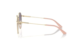 Zijaanzicht Jimmy Choo JC4007BD (300636)