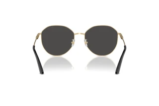 Achteraanzicht Jimmy Choo JC4007BD (300687)
