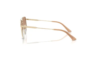 Zijaanzicht Jimmy Choo JC4011 (30060G)