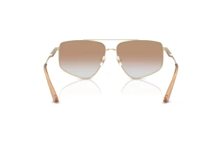 Achteraanzicht Jimmy Choo JC4011 (30060G)