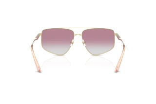 Achteraanzicht Jimmy Choo JC4011 (300658)
