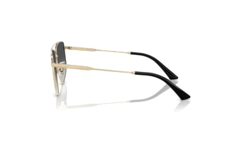 Zijaanzicht Jimmy Choo JC4011 (3006T3)