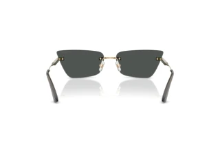 Achteraanzicht Jimmy Choo JC4012 (300687)
