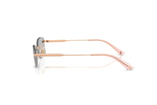 Zijaanzicht Jimmy Choo JC4013D (300887)