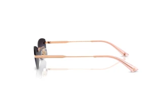 Zijaanzicht Jimmy Choo JC4013D (30088G)