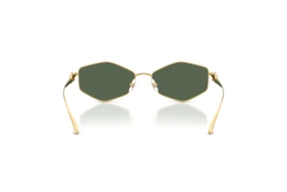 Achteraanzicht Jimmy Choo JC4017 (302371)