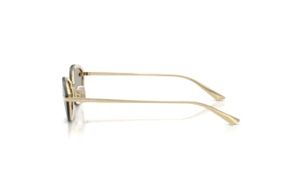 Zijaanzicht Jimmy Choo JC4020B (30066G)
