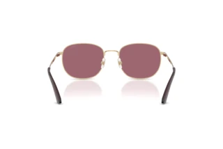 Achteraanzicht Jimmy Choo JC4025B (30061A)
